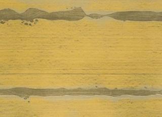 Фото - Обои Holland & Sherry Archetype - 286816>