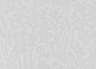 Фото - Обои Sandudd Unelmia - 422518>