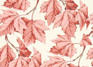 Фото - Обои Harlequin Sophie Robinson Wallpapers - 581991>