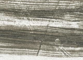 Фото - Ткани Rubelli Rembrandt - 493599>