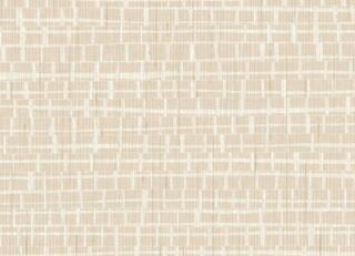 Фото - Обои Arte Contract Madagascar - 629866>