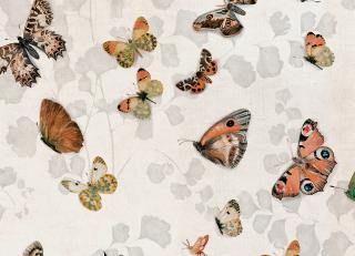 Фото - Обои Coordonne Naturae - 559393>