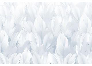 Фото - Обои Ortograf Levity - 477133>