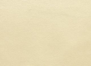 Фото - Ткани Clarke&Clarke Prima - 404446>