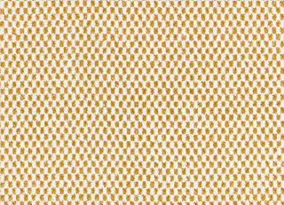 Фото - Ткани Black Edition Xandri Outdoor - 631264>