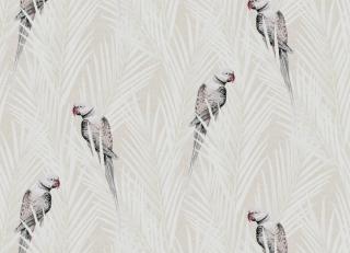 Фото - Обои Khroma Cabinet of curiosities - 508891>