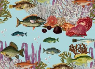 Фото - Обои Gaston y Daniela Origen Dos - 554573>