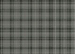 Фото - Обои Loymina Денди - 571724>