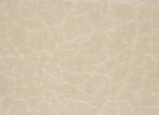 Фото - Ткани Designers Guild Arizona - 281958>