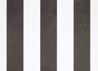 Фото - Обои Gaston y Daniela Origen Dos - 554548>