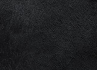 Фото - Аксессуары Holly Hunt Кожа Specialty - 589392>