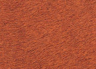 Фото - Обои Elitis Indomptee - 377188>