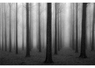 Фото - Обои Photowall Пейзажи - 298743>