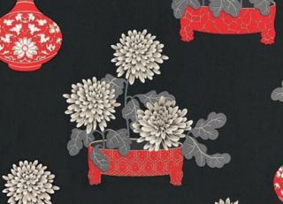 Фото - Обои Equipo DRT Encadenados - 559334>