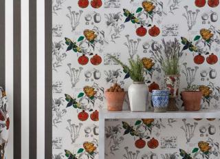 Фото - Обои Gaston y Daniela Origen Collection - 359266>