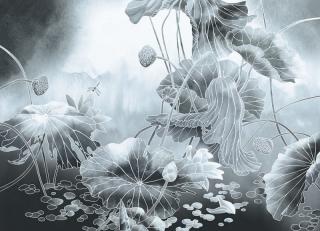 Фото - Обои Ortograf Grafika Natura - 477036>