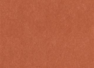 Фото - Обои Casadeco Cotton Touch - 552798>