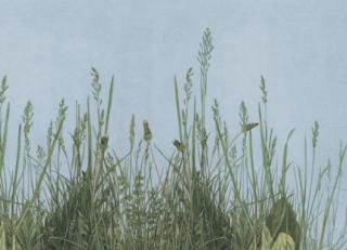 Фото - Обои Mr Perswall Nostalgic - 234926>