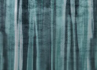 Фото - Ткани Black Edition Zafaro - 509906>