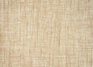 Фото - Обои Pierre Frey Natecru Textures 2 - 597358>