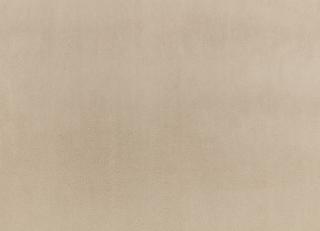 Фото - Ткани Zinc Drake - 565509>