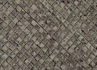 Фото - Обои CMO Paris Palm Tree - 550969>