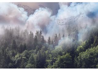 Фото - Обои Ortograf Mirage - 477164>