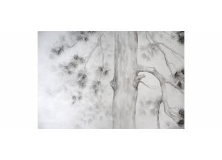 Фото - Обои Fresq T.R.02 - 328771>