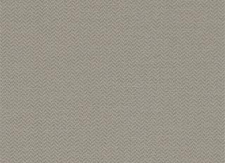 Фото - Ткани Clarke&Clarke Purus - 491495>