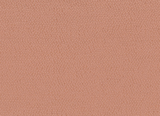 Фото - Ткани Rubelli Sharky - 624140>