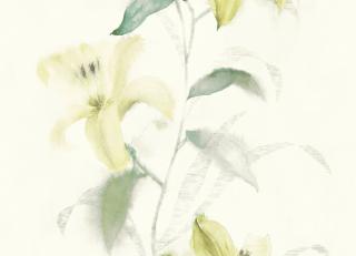 Фото - Обои Wallquest Jasmine - 245548>