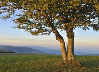 Фото - Обои Photowall Пейзажи - 298738>