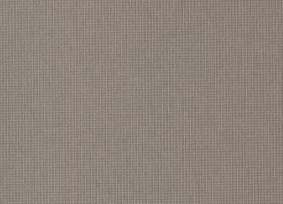 Фото - Ткани Coordonne Kingsman - 474003>