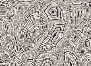 Фото - Обои Cole & Son Fornasetti Senza Tempo - 423522>