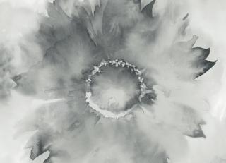 Фото - Обои KT Exclusive L'Atelier de Paris - 434598>