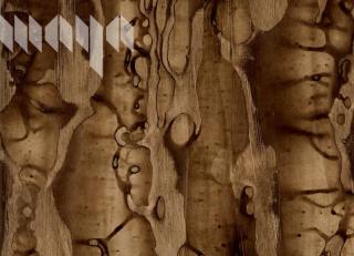 Фото - Обои Maya Romanoff River Bed ll - 394956>