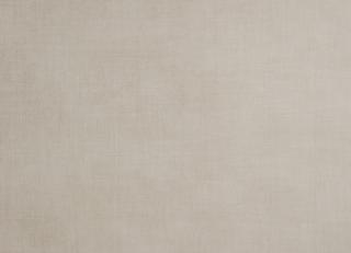 Фото - Обои Caselio Delicate - 226927>