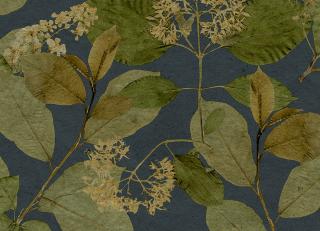 Фото - Обои Decoprint Herbarium - 618792>