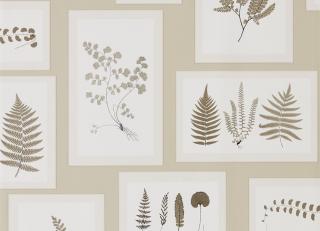 Фото - Обои Sanderson Woodland Walk - 247953>