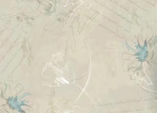 Фото - Обои Ango Linea Natural - 330866>