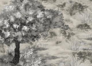 Фото - Обои Faboie Whispering In The Jungle - 622304>