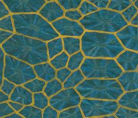 Фото - Обои De Gournay Eclectic - 252222>