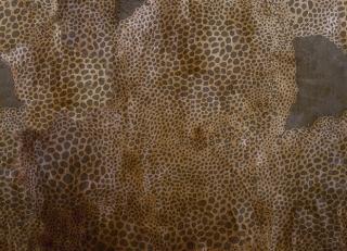 Фото - Обои Wall&Deco CODE 2017 CONTEMPORARY - 464460>