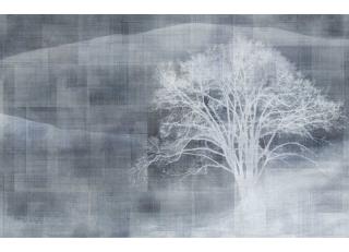 Фото - Обои Texam Id - 425561>