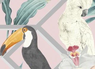 Фото - Обои Graham & Brown Explorer - 546239>