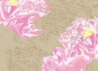 Фото - Обои Ango Linea Natural - 330822>