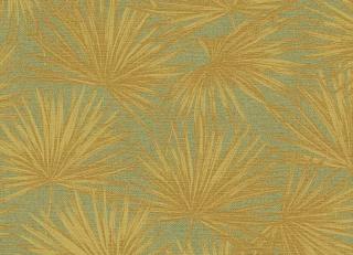 Фото - Обои Shinhan Focus - 554895>