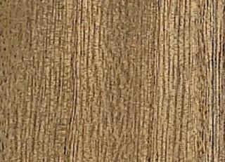 Фото - Обои Yana Svetlova Paulownia - 572477>