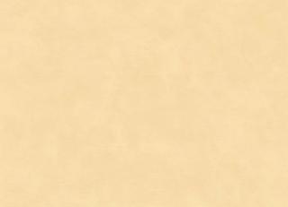 Фото - Обои Casamance La Chaux - 594840>