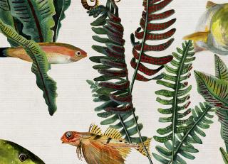 Фото - Обои Coordonne Naturae - 559379>